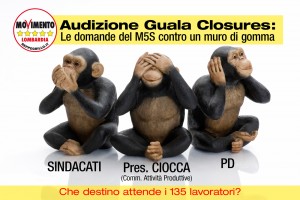 GUALA Audizione 30-07-14