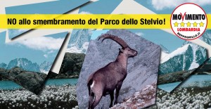 Stelvio