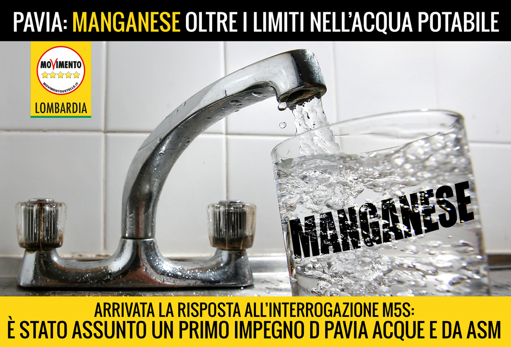 manganese-pavia-2